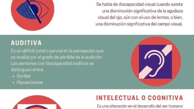 Conceptos de discapacidad